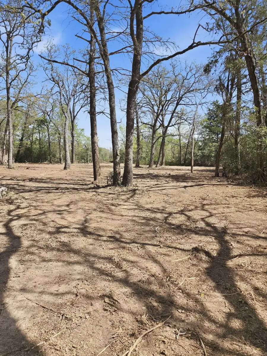 533 Lcr 721, Kosse, TX 76653 - #3