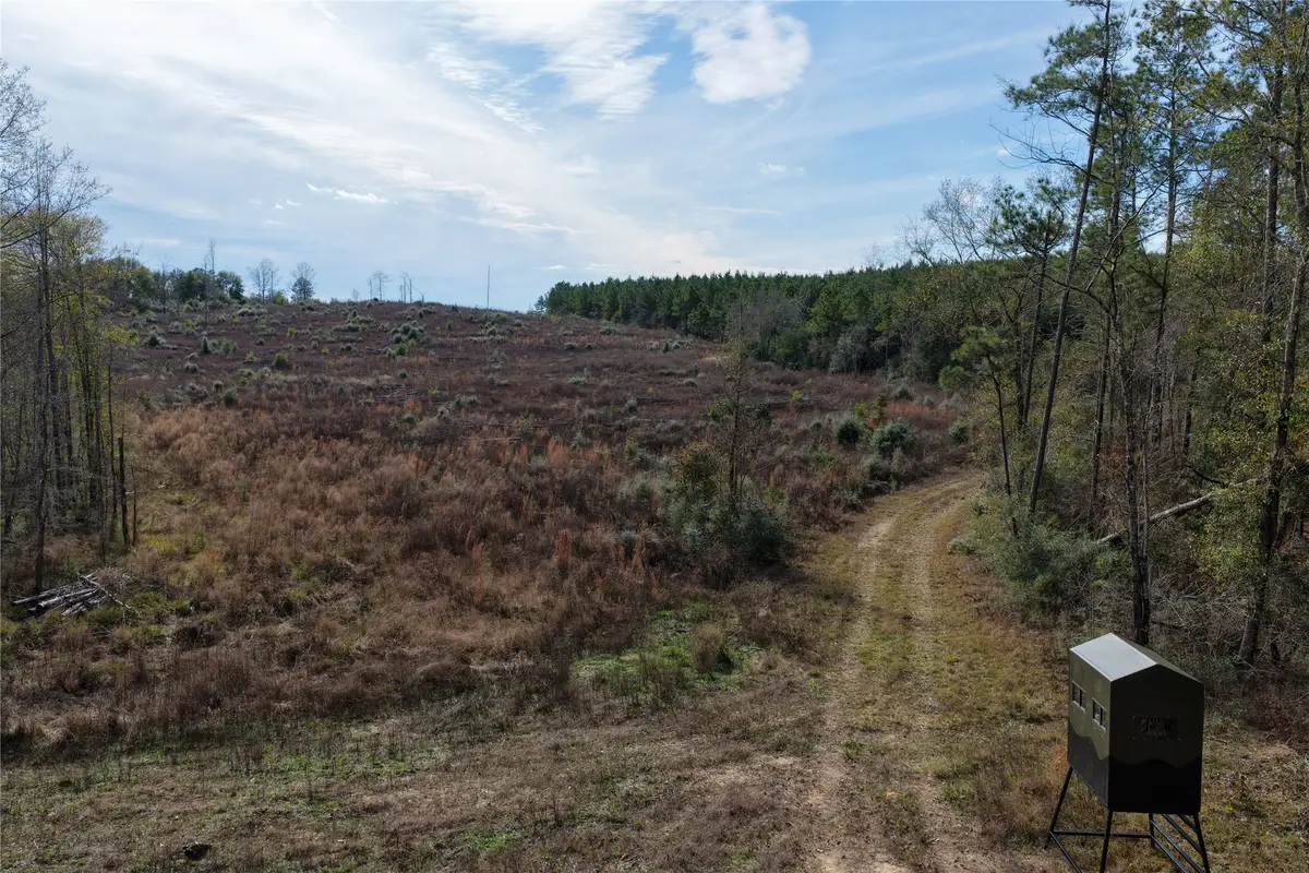 0000 Segno Fire Lane, Livingston, TX 77351 - #1