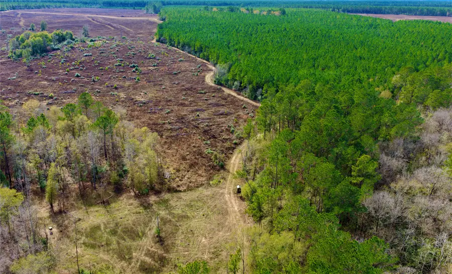 0000 Segno Fire Lane, Livingston, TX 77351 - #3