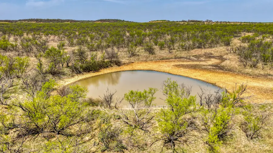 5600 Roney Road, Jermyn, TX 76459 - #2