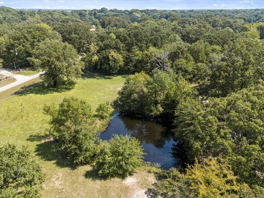 230 Rs County Road 1491, Point, TX 75472 - #3