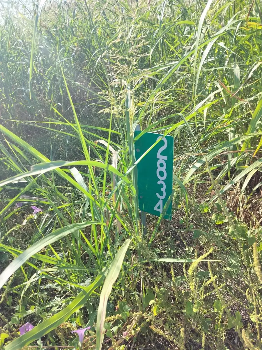 2834 St Hwy 81, Itasca, TX 76055 - #2