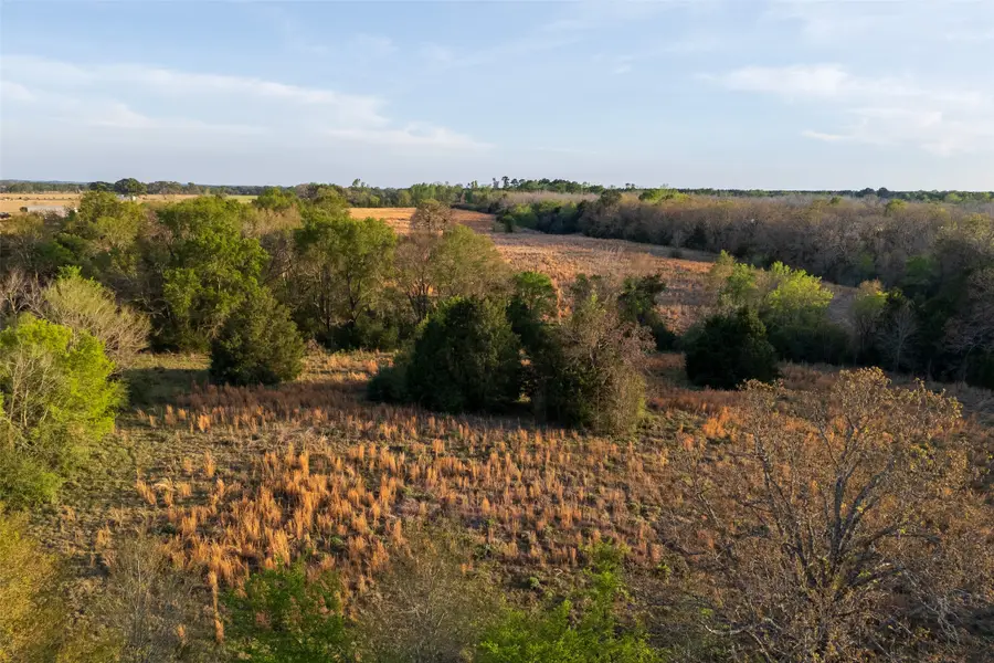 00 County Road 117, Elkhart, TX 75839 - #2