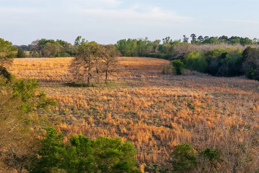 00 County Road 117, Elkhart, TX 75839 - #3