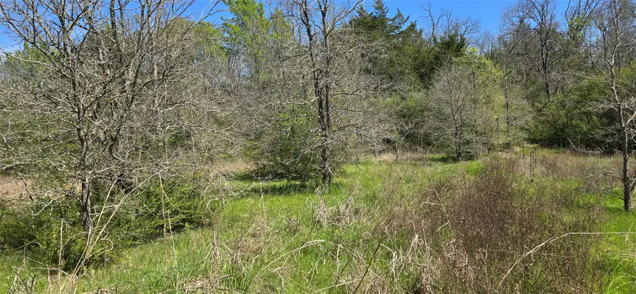 0 County Road 1036, Greenville, TX 75401 - #2