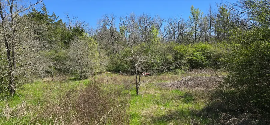 0 County Road 1036, Greenville, TX 75401 - #3