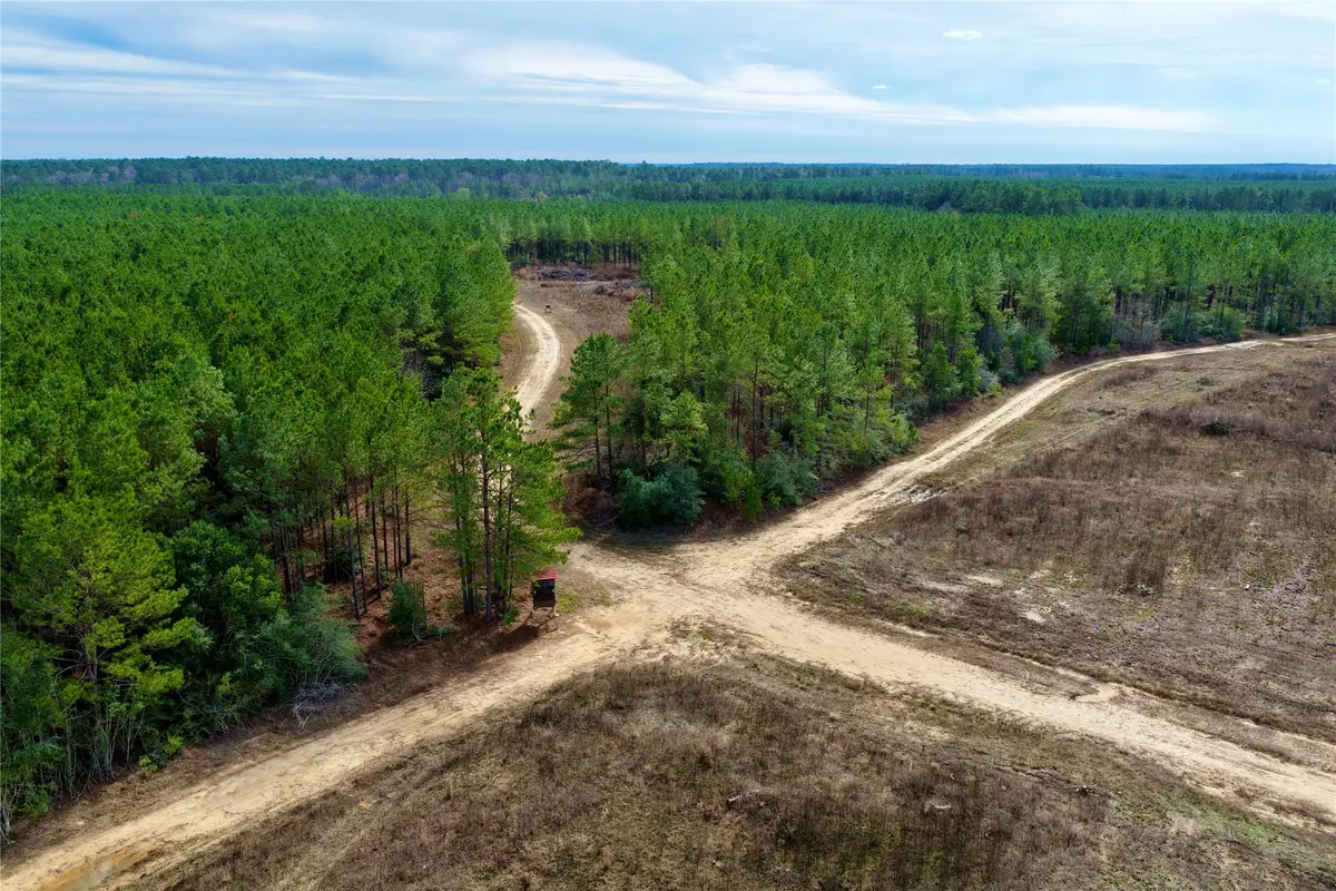 TBD Segno Fire Lane, Livingston, TX 77351 - #1