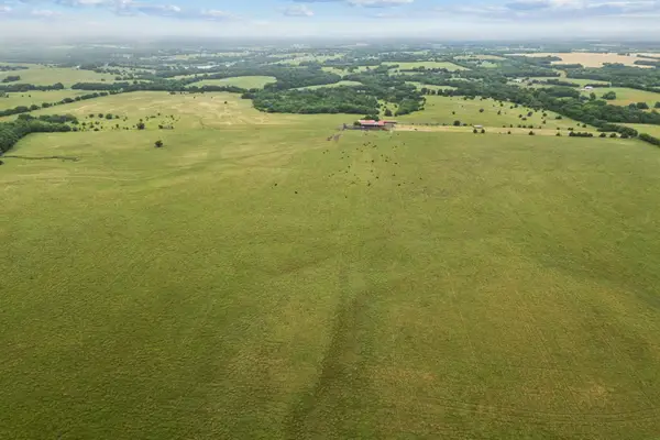 TBD Fm 697, Whitewright, TX 75491