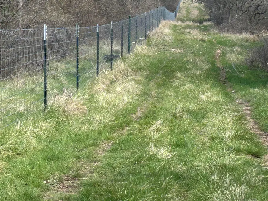 198 County Road 259, Goldthwaite, TX 76844 - #3