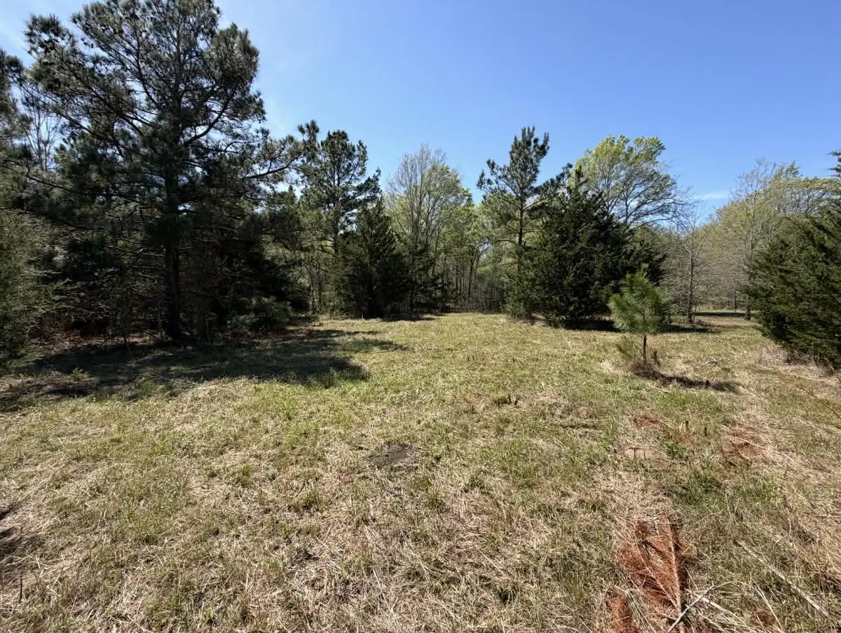 TBD Fm 542, Oakwood, TX 75855 - #1