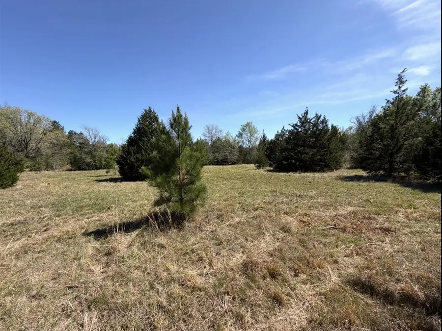 TBD Fm 542, Oakwood, TX 75855 - #2
