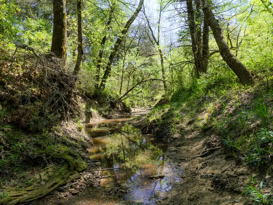 na County Road 3306, Greenville, TX 75402 - #2