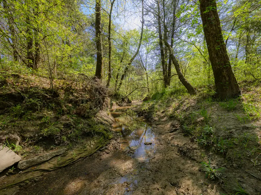 0 County Road 3306, Greenville, TX 75401 - #2