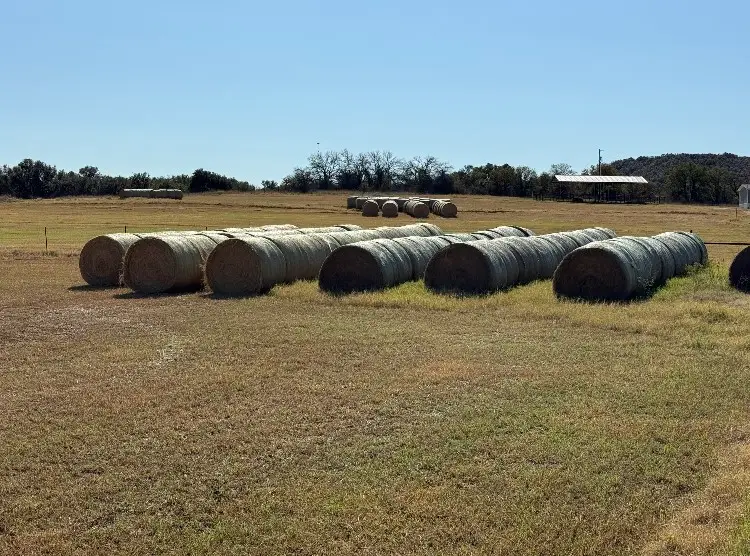 2026 CR 103 County Rd 103, Comanche, TX 76442 - #3