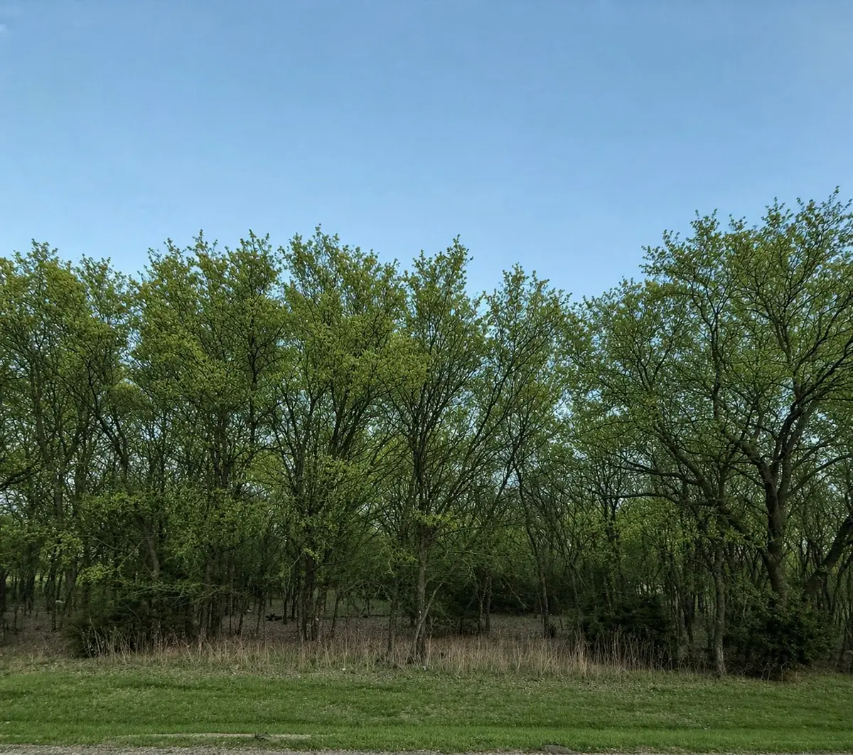 8093 Canja Drive, Fort Worth, TX 76126 - #1