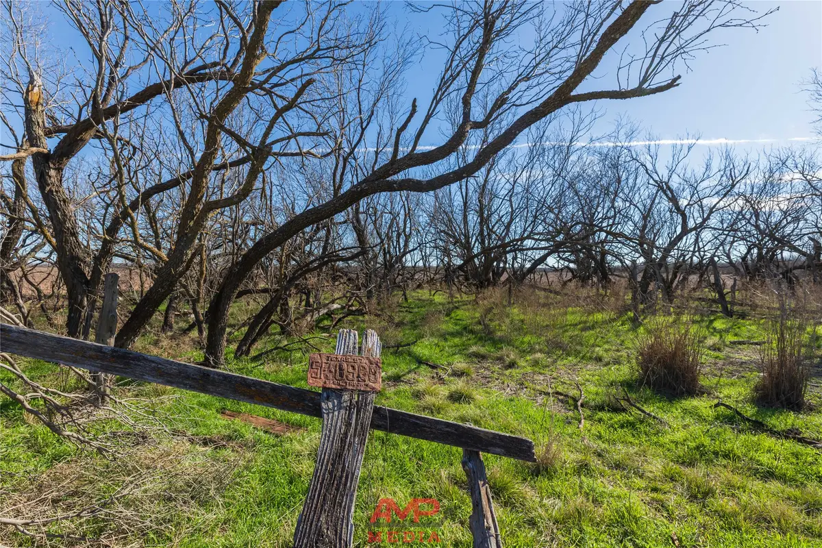 T B D County Road 260, Avoca, TX 79503 - #1