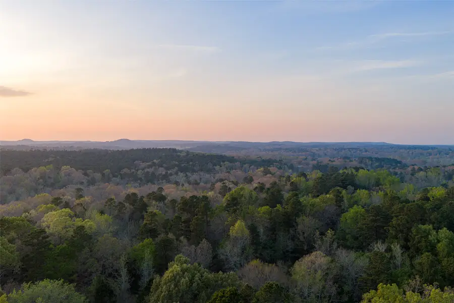 923 W Main St, Ore City, TX 75683 - #3