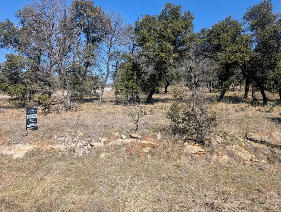 234 Ridgeline Drive, Chico, TX 76431 - #3