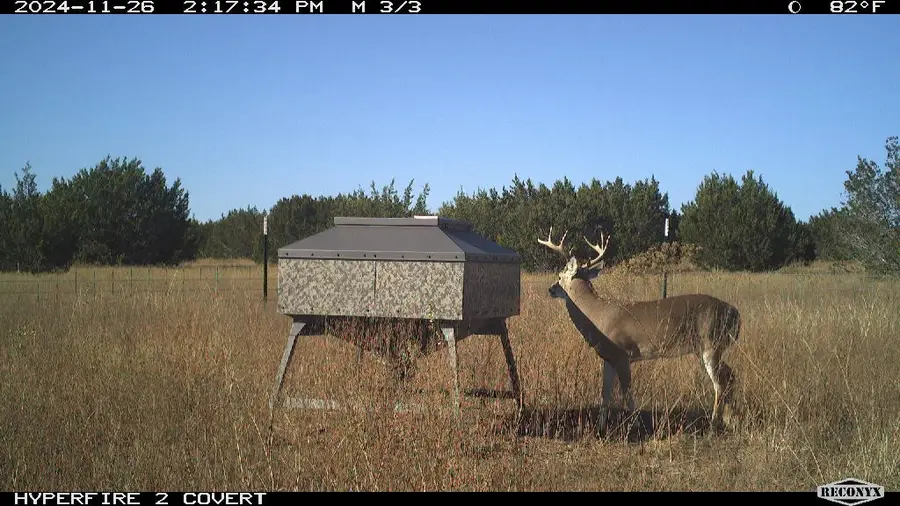 11439 Fm 1602 (161), Jonesboro, TX 76538 - #3