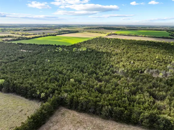 TBD Fm 198, Cooper, TX 75432