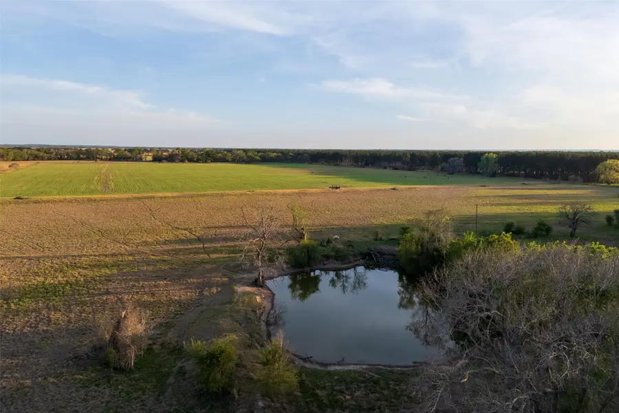 00 County Rd 117, Elkhart, TX 75839 - #3