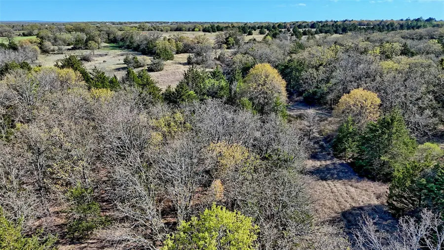 TBD Cole Road, Bowie, TX 76230 - #3
