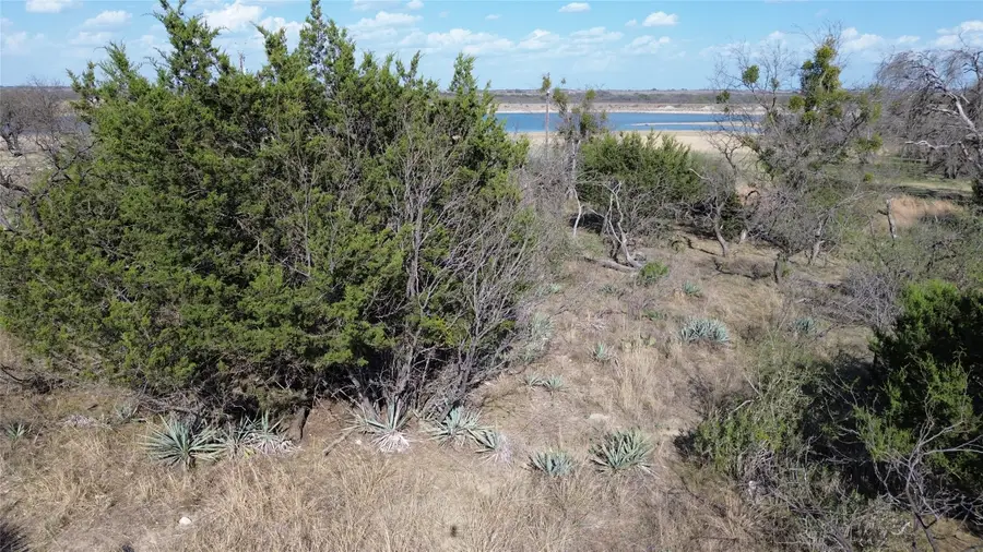 000 Lake Point Road, Comanche, TX 76442 - #2