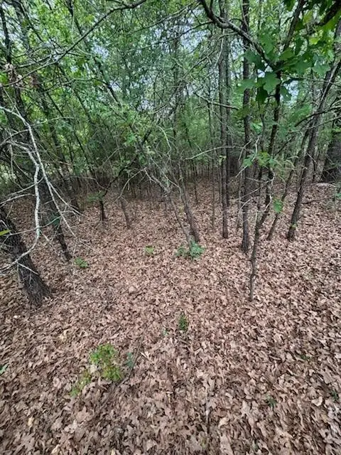 46 April Cove, Streetman, TX 75859 - #2