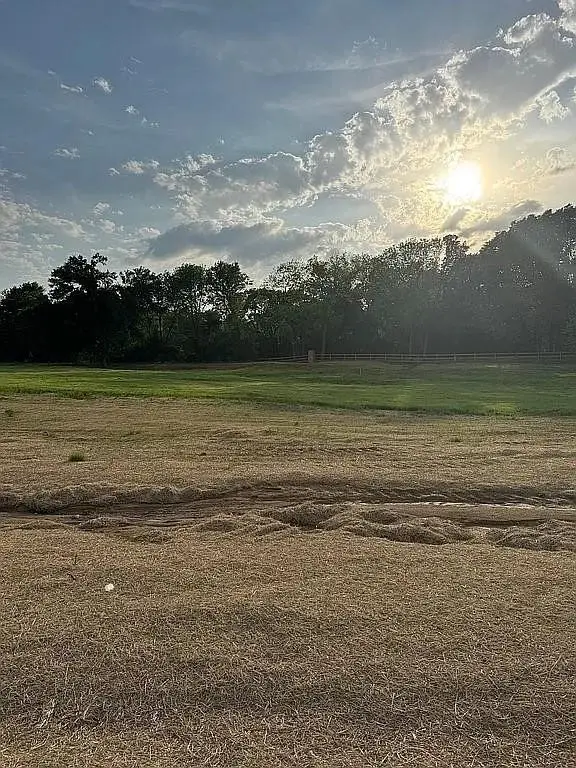 6 Sunrise Drive, Dodd City, TX 75438 - #2