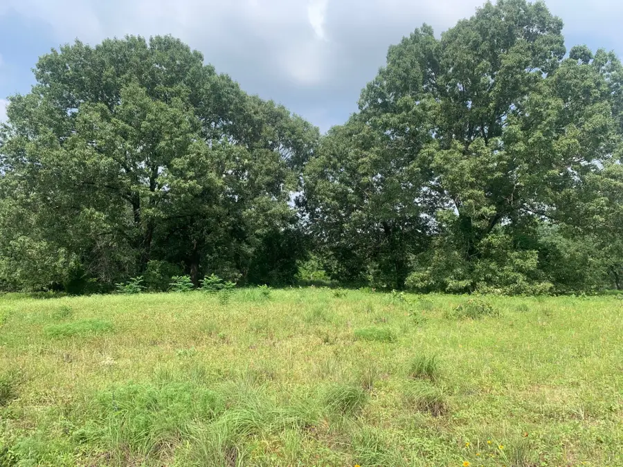 TBD Cr 381, Oakwood, TX 75855 - #2