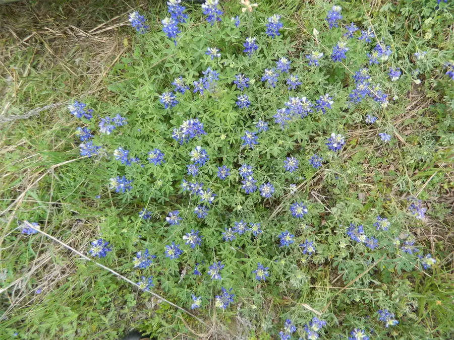 tbd SW Cr 0030, Corsicana, TX 75110 - #2