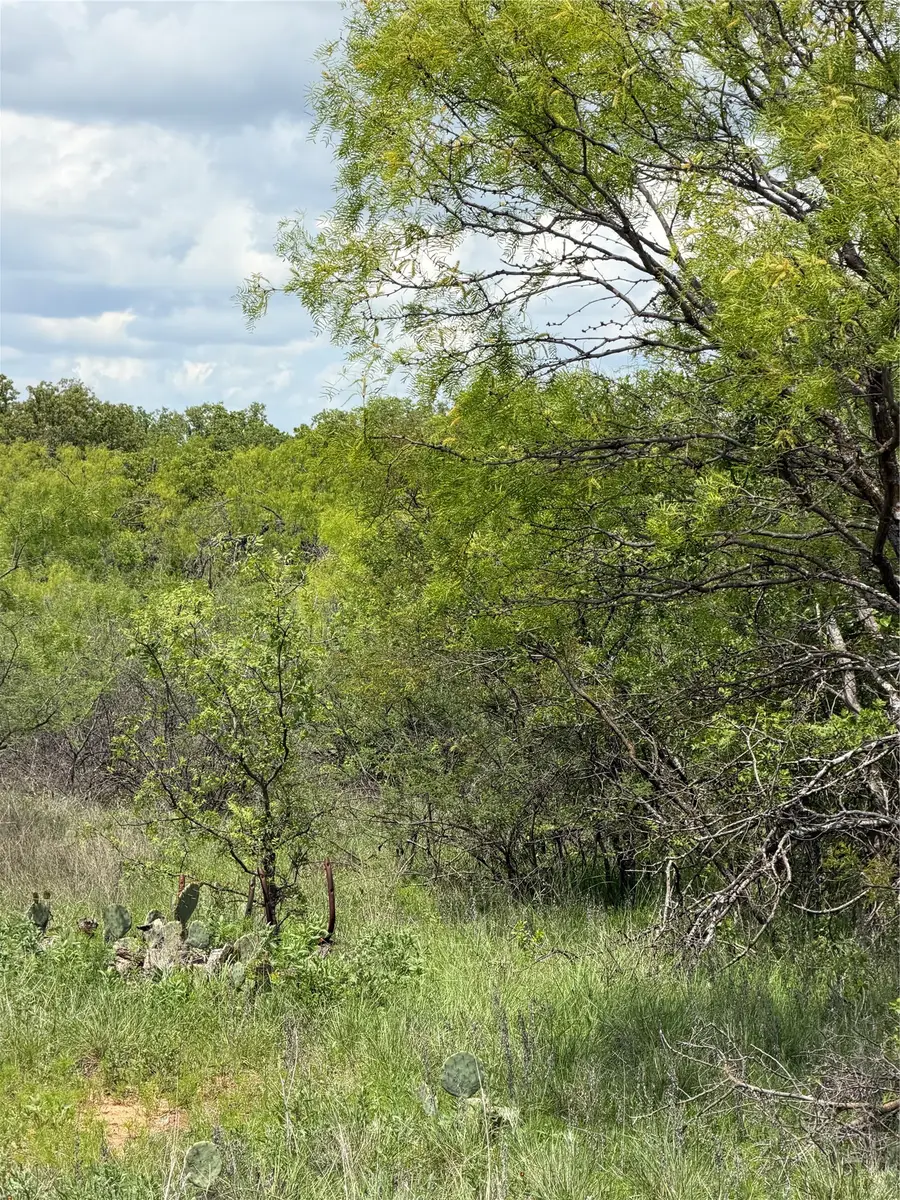 000 County Road 149, Brownwood, TX 76801 - #2