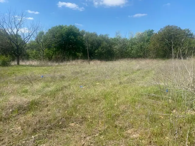 TBD Cr 408, Lott, TX 76656 - #2