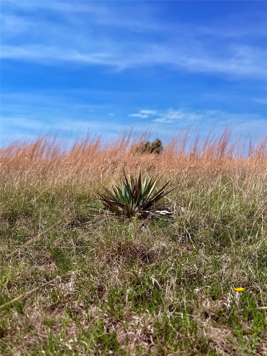 39 Cr 330, Goldthwaite, TX 76844 - #3