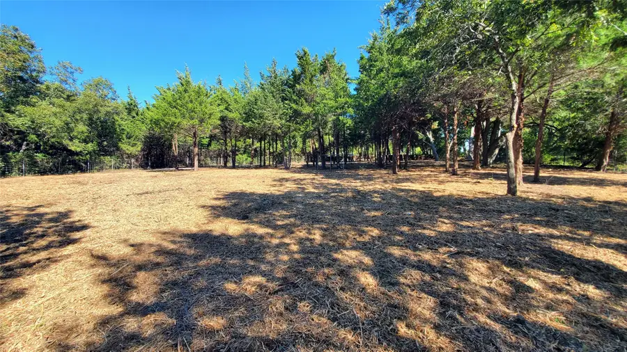 TBD Cr 438, Princeton, TX 75407 - #2