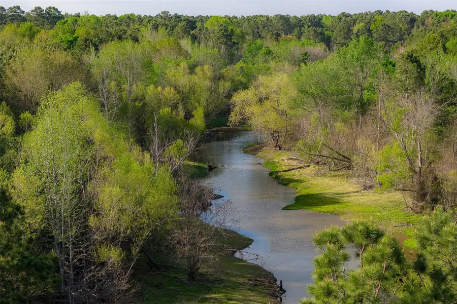 00 Farm To Market Road 2022, Grapeland, TX 75844 - #2