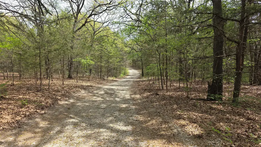 1975 County Road 1025, Ravenna, TX 75476 - #2