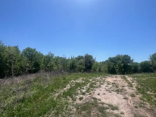 1004 Bermes Court, Brock, TX 76087 - #3