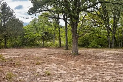 132 Prewitt Street, Mabank, TX 75156 - #3