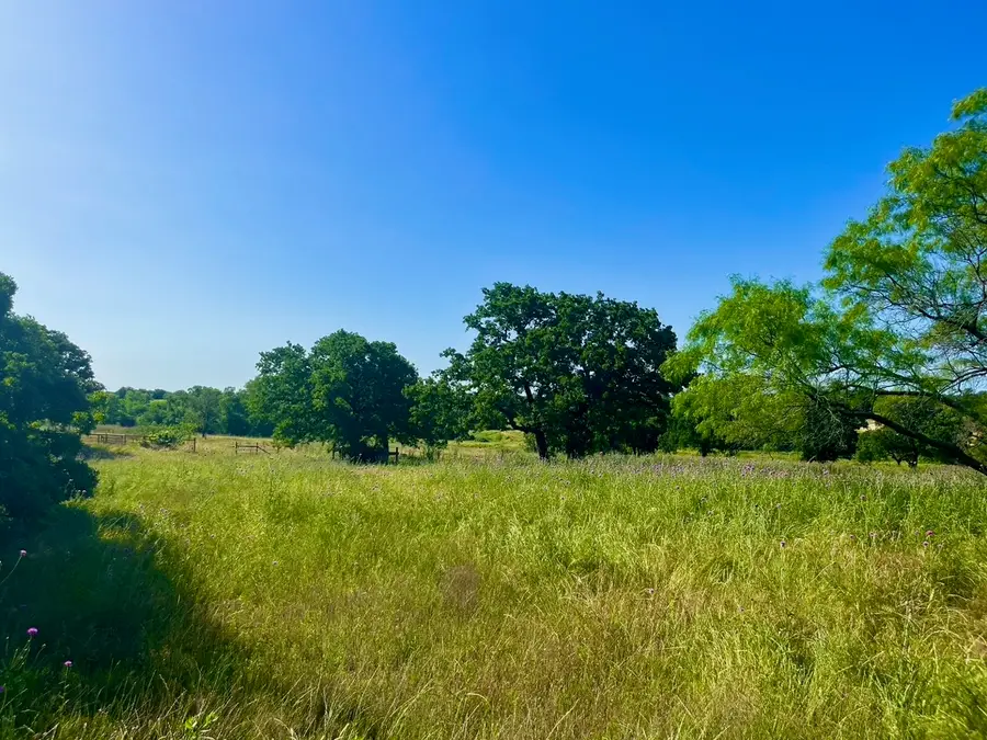 Lot 55 & 56 Kilkenny Road, Poolville, TX 76487 - #3