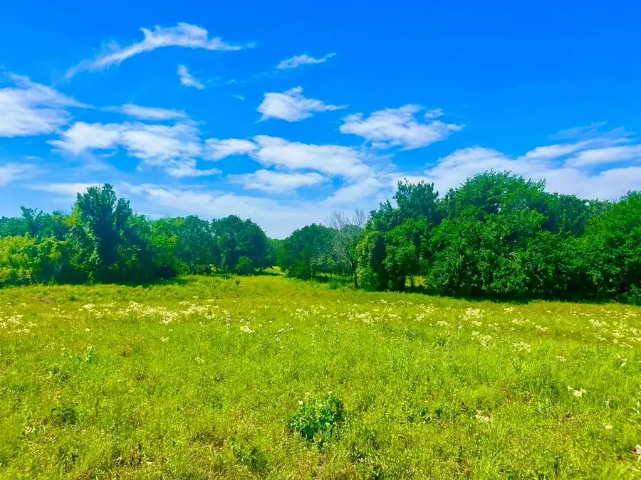Lot 99 Arlow Road, Poolville, TX 76487 - #2
