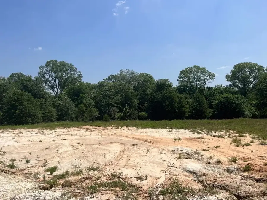 Lot 45 Antrim Ct, Poolville, TX 76487 - #3