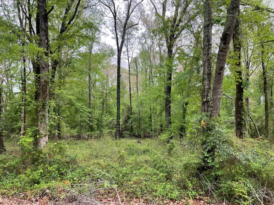 0 Shane Lane #Lot 42, Keithville, LA 71047 - #2