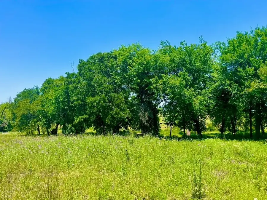 Lot 89 Kerry Court, Poolville, TX 76487 - #2