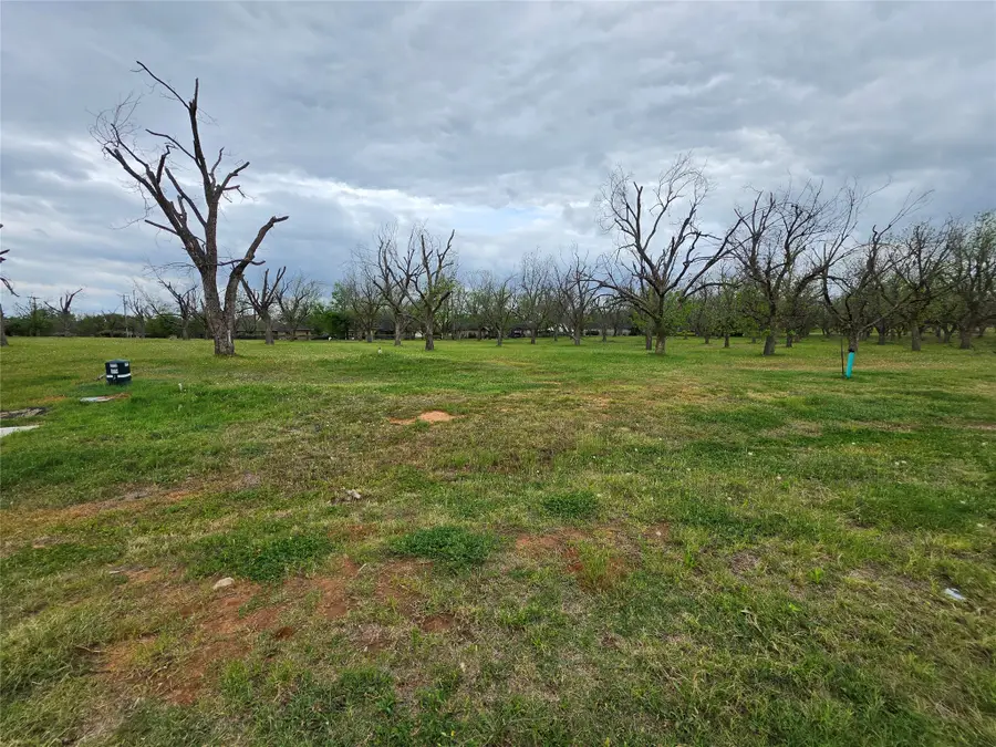 8421 W Landings Road, Granbury, TX 76049 - #3