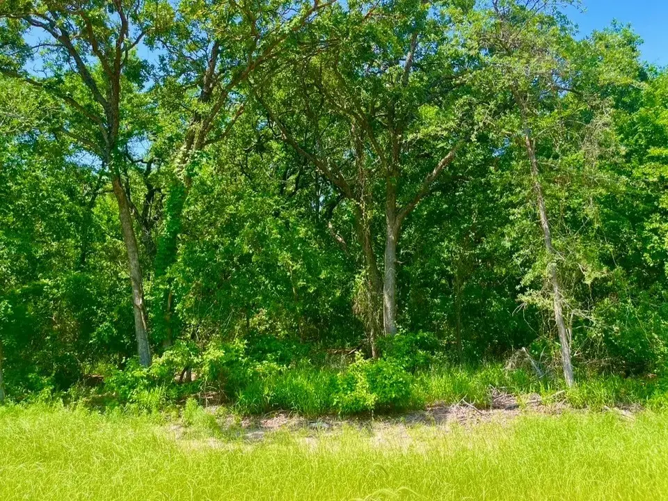 Lot 48 Antrim Court, Poolville, TX 76487 - #1