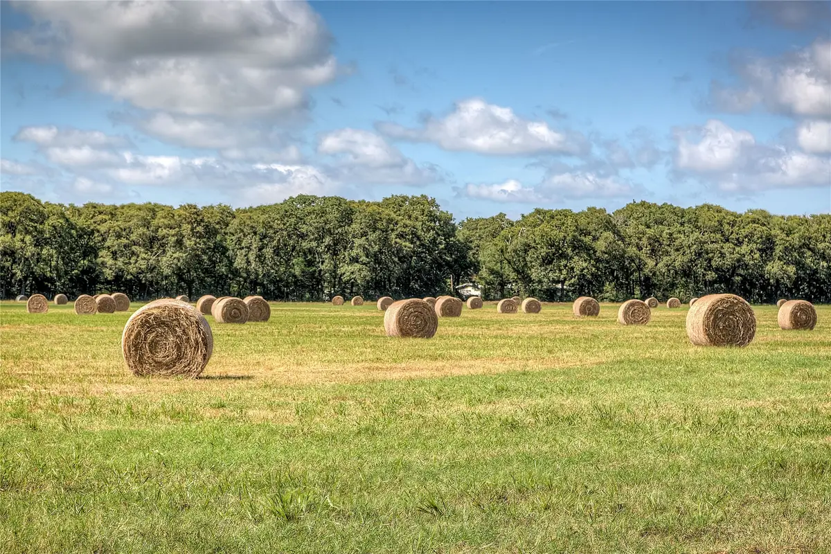 3812 County Road 120, Wills Point, TX 75169 - #1