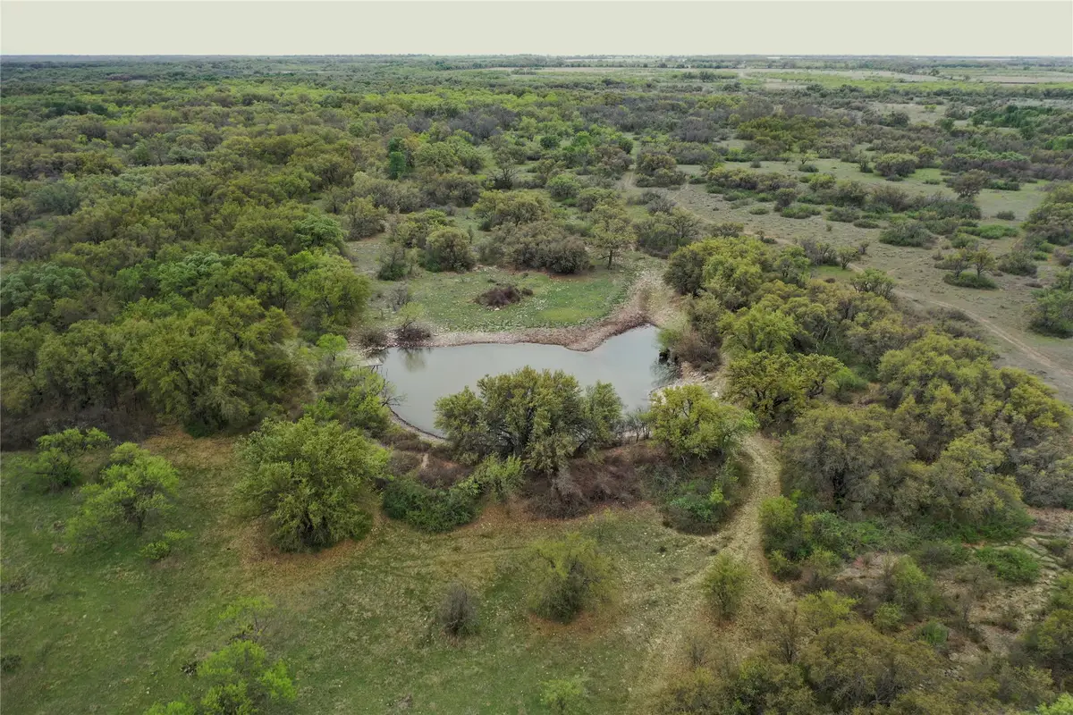 TBD Co Rd 369, Carbon, TX 76435 - #1