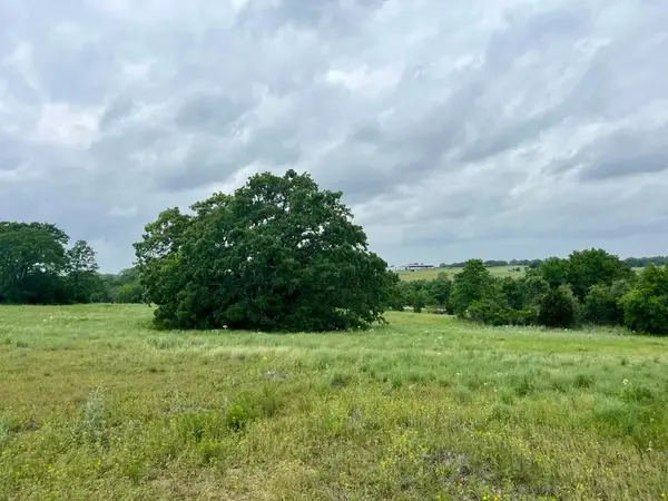Lot 14 Arlow Road, Poolville, TX 76487