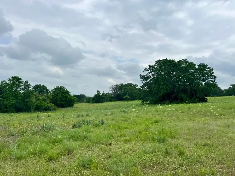Lot 14 Arlow Road, Poolville, TX 76487 - #2
